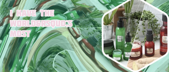 Body shop skin care