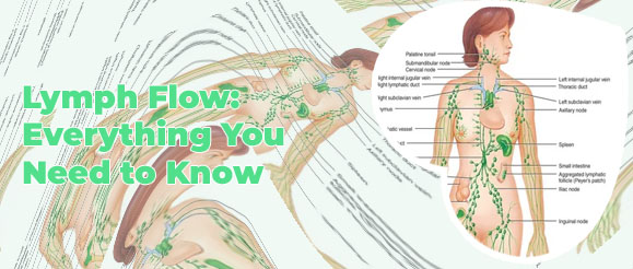 Drain your lymph nodes face